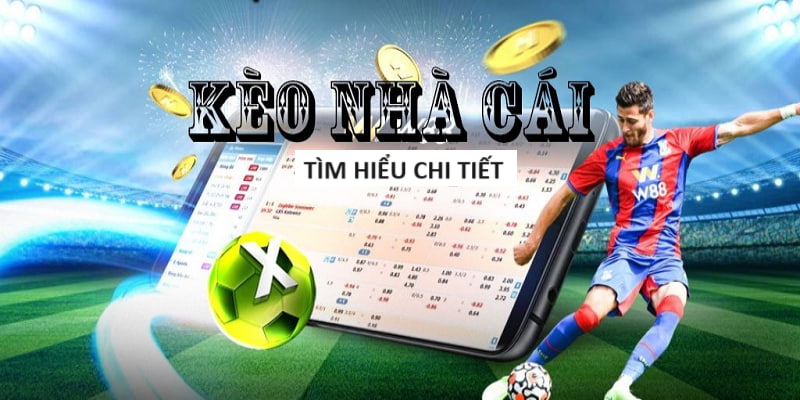 7m Keo Nha Cai - 7m Sports Odds Portal